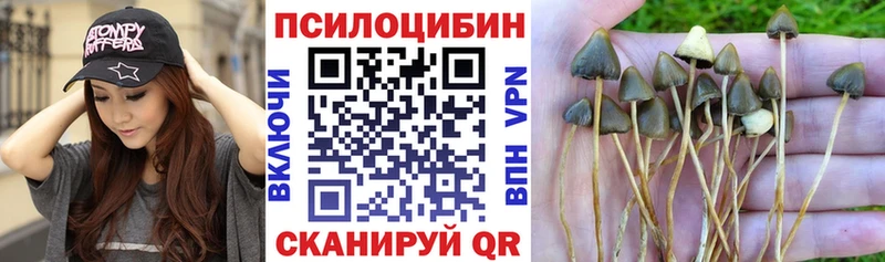 Псилоцибиновые грибы мицелий  цены наркотик  Алапаевск 